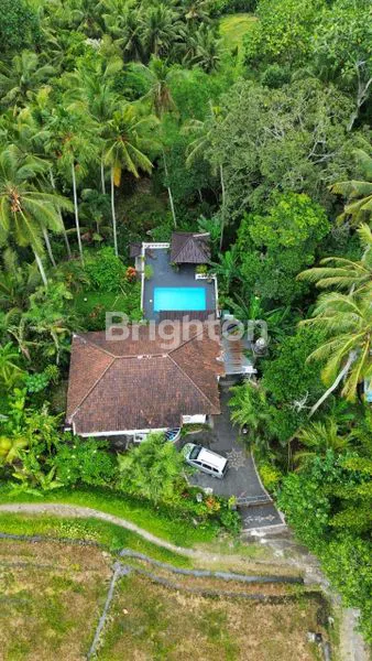 image VILLA EUROPEAN STYLE 2 LANTAI - TABANAN (3)