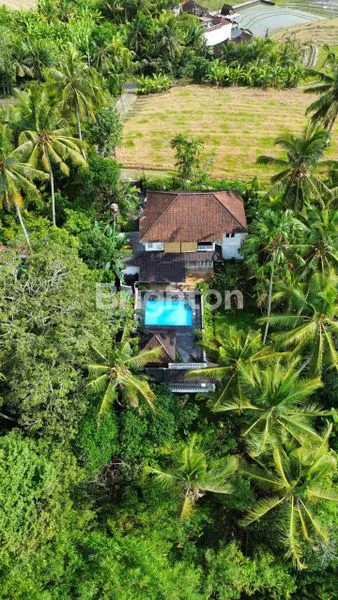 image VILLA EUROPEAN STYLE 2 LANTAI - TABANAN (2)