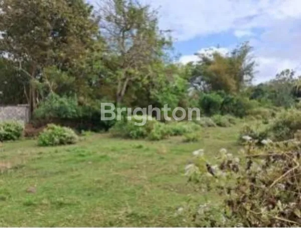 image TANAH KAVLING STRATEGIS DI KUTUH, KUTA SELATAN – COCOK UNTUK VILLA EKSKLUSIF, DEKAT GWK & UDAYANA (2)