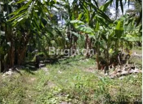 TANAH MURAH SIAP BANGUN DI BAHA, MENGWI – KAWASAN TENANG & SEJUK DEKAT SAWAH, COCOK UNTUK HUNIAN ASRI