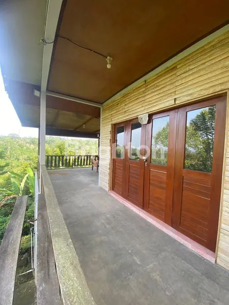 image TANAH PERKEBUNAN KOPI PRODUKTIF DI TABANAN BALI (4)