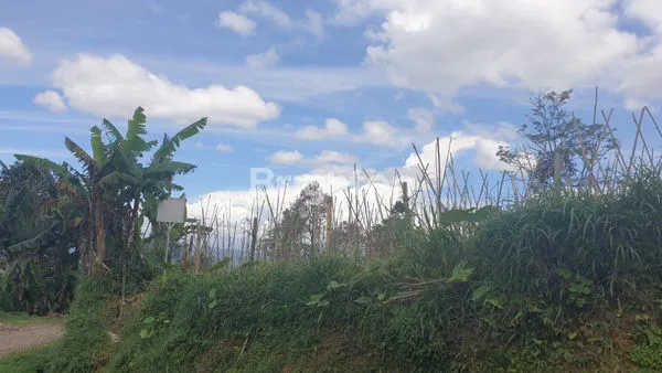 image TANAH SELUAS 2292 M2 DIAPIT DUA GUNUNG  DI DAERAH SEJUK KETINGGIAN 800 M COCOK UNTUK VILLA, AREA WISATA, INVESTASI, BERCOCOK TANAM.LOKASINYA SANGAT STRATEGIS. AREA POTENSIAL .BOGOR JAWA BARAT. (6)