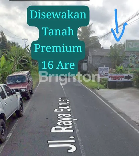 DISEWAKAN TANAH PREMIUN 16 ARE DI SAMPING JALAN RAYA PENEBEL