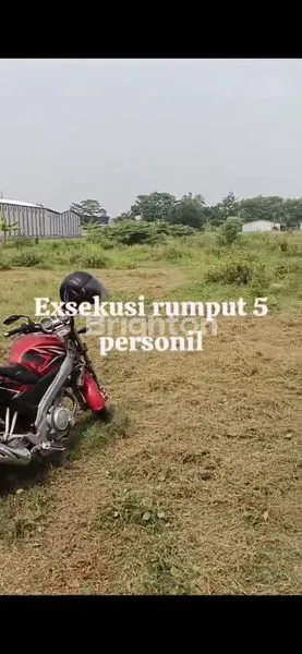 image TANAH INDUSTRI 1.6 HA PINGGIR JALAN RAYA DEKAT EXIT TOL BATANG (6)