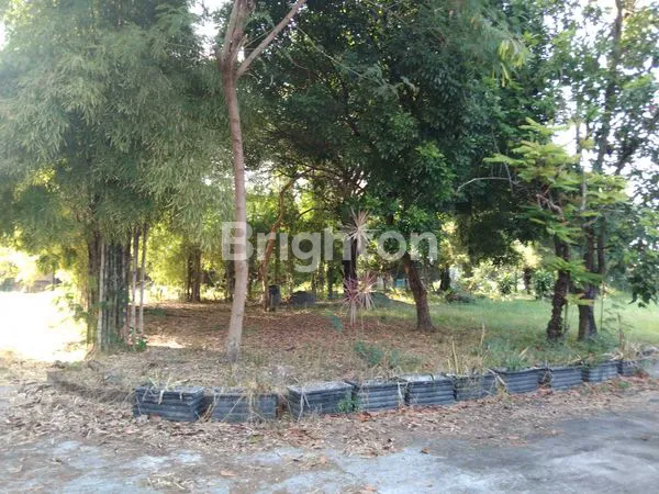 AREA KOMERSIAL DIKELILINGI LAPANGAN PADEL, BILIARD, TENGAH KOTA