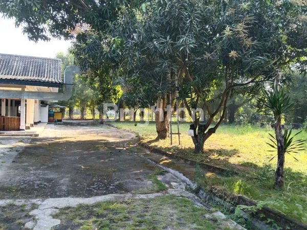 image AREA KOMERSIAL DIKELILINGI LAPANGAN PADEL, BILIARD, TENGAH KOTA (3)