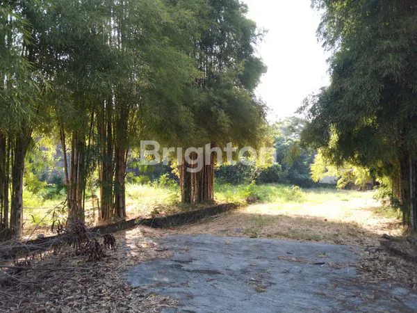 image AREA KOMERSIAL DIKELILINGI LAPANGAN PADEL, BILIARD, TENGAH KOTA (5)