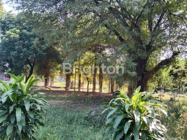 image AREA KOMERSIAL DIKELILINGI LAPANGAN PADEL, BILIARD, TENGAH KOTA (4)