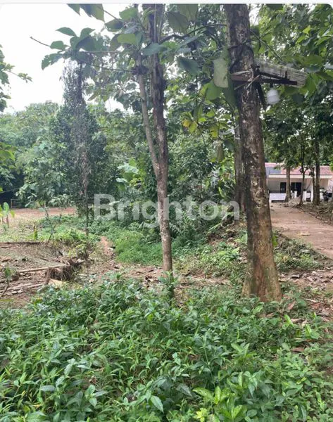 image TANAH STRATEGIS COCOK UNTUK INVESTASI, HUNIAN & USAHA (4)