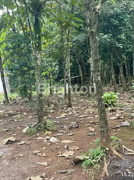 image TANAH STRATEGIS COCOK UNTUK INVESTASI, HUNIAN & USAHA (1)