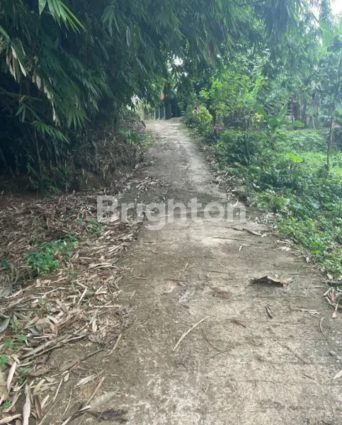 image TANAH STRATEGIS COCOK UNTUK INVESTASI, HUNIAN & USAHA (7)