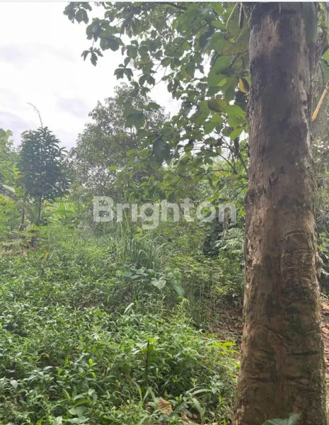 image TANAH STRATEGIS COCOK UNTUK INVESTASI, HUNIAN & USAHA (3)