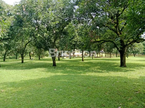 image DIJUAL! LAHAN KEBUN MANGGA + VILA DI TEPI SUNGAI CIMANUK, MAJALENGKA – COCOK UNTUK WISATA ALAM (5)