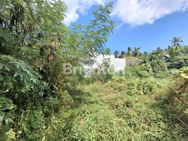 image DIJUAL TANAH STRATEGIS PERUMAHAN PERING  (1)