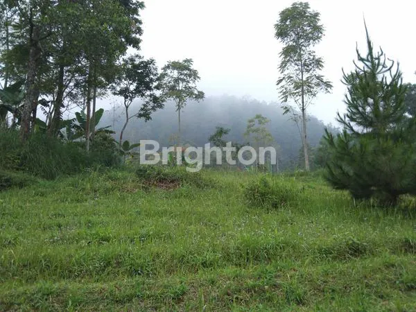 image PEGUNUNGAN COCOK UNTUK VILLA, TEMPAT HEALING, MEDITASI  (5)