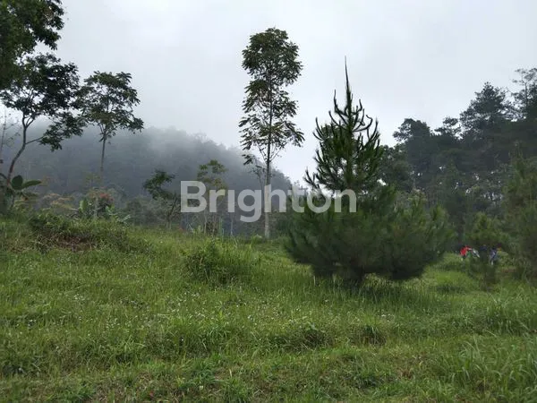image PEGUNUNGAN COCOK UNTUK VILLA, TEMPAT HEALING, MEDITASI  (7)