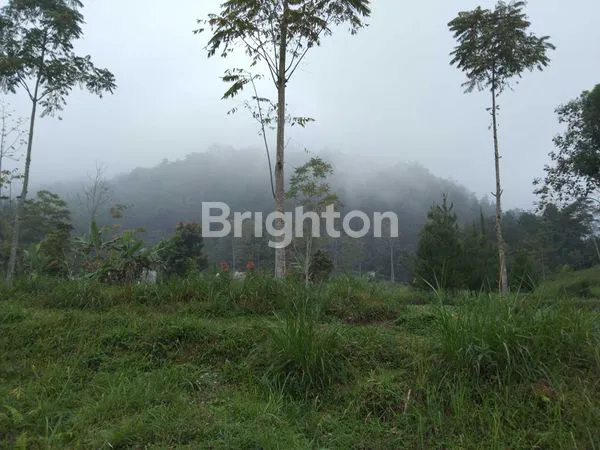 image PEGUNUNGAN COCOK UNTUK VILLA, TEMPAT HEALING, MEDITASI  (8)