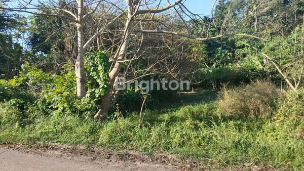 TANAH DEKAT PANTAI LOKASI KERAMAS GIANYAR COCOK INVESTASI VILLA