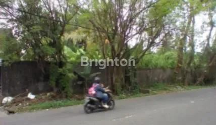 image PEKARANGAN KALIURANG KM 15, COCOK UNTUK GUDANG, CAFFE, VILLA  (6)