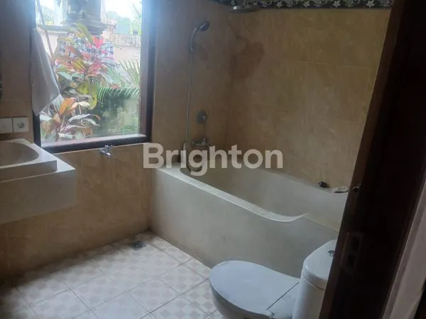 image DISEWAKAN CEPAT VILLA CANTIK SIAP HUNI VIEW SAWAH YANG ASRI LOKASI PEJENG KAWAN UBUD (5)