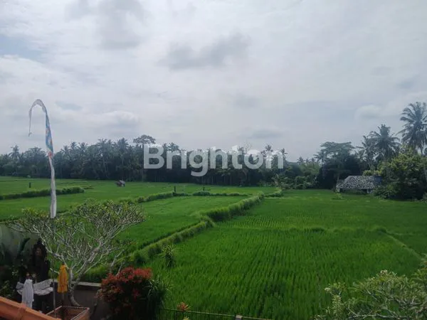 image DISEWAKAN CEPAT VILLA CANTIK SIAP HUNI VIEW SAWAH YANG ASRI LOKASI PEJENG KAWAN UBUD (6)