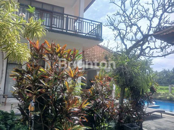 image DISEWAKAN CEPAT VILLA CANTIK SIAP HUNI VIEW SAWAH YANG ASRI LOKASI PEJENG KAWAN UBUD (3)