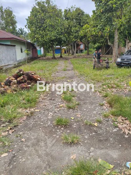 image TANAH LUAS 6.555M2 BINJAI.. HARGA MURAH RP 210.000/M (8)