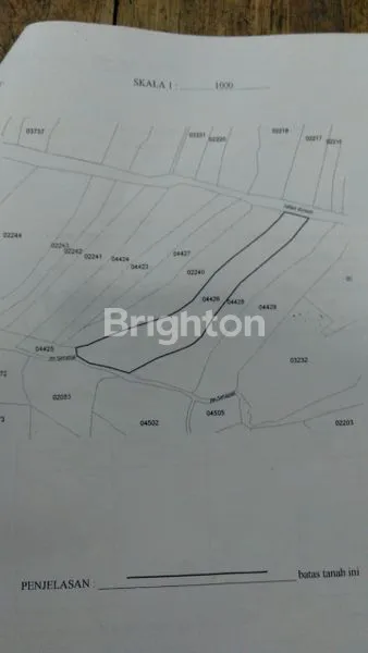 image JUAL TANAH BANDUNGAN MURAH  (1)