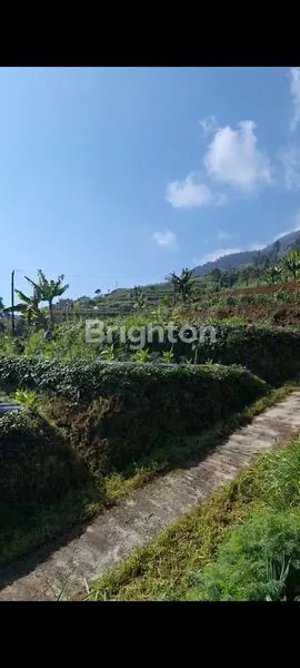 image JUAL TANAH KOPENG MURAH  (1)