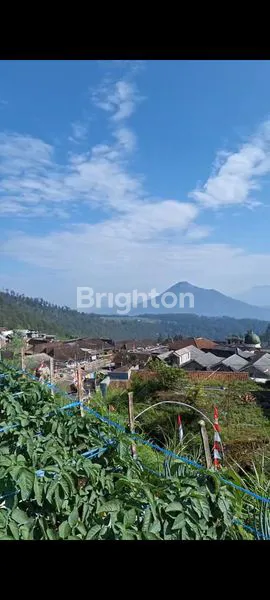 image JUAL TANAH KOPENG MURAH  (2)