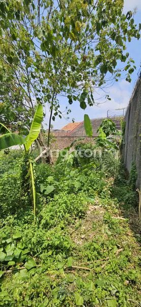 image TANAH NGANTONG SIAP BANGUN SINGA SUPRIYADI PEDURUNGAN SEMARANG (6)