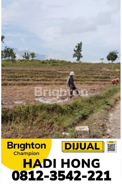 image DIJUAL TANAH LUAS DI DESA CENTONG – GONDANG, MOJOKERTO \UD83C\UDF33\UD83C\UDFDE\UFE0F\UD83D\UDCCD LOKASI: DESA CENTONG, KECAMATAN GONDANG, KABUPATEN MOJOKERTO (1)