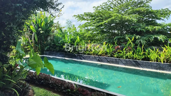 image LUXURY VILLA IN TUMBAK BAYUH AREA MODERN AND SPACIOUS (8)