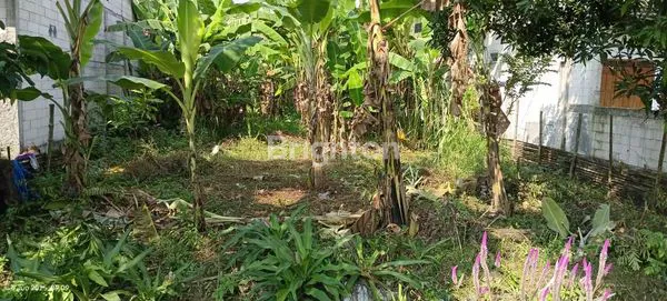 image TANAH STRATEGIS DI JALAN RAYA SEMARANG - GROBONGAN   (3)