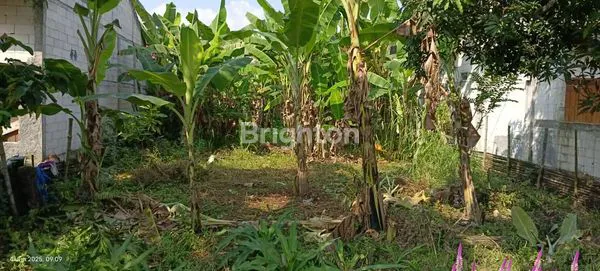 image TANAH STRATEGIS DI JALAN RAYA SEMARANG - GROBONGAN   (2)