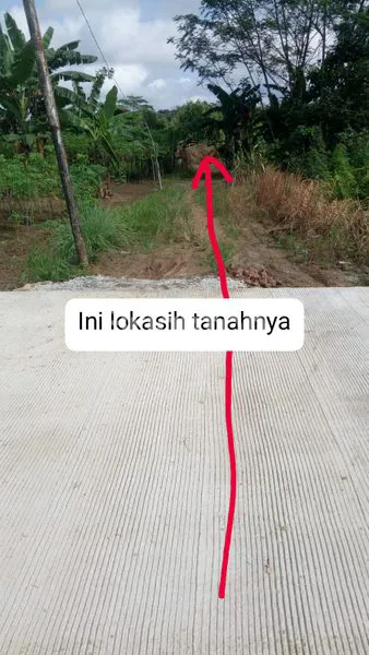 TANAH DI KAMPUNG MERANDAI LOA DURI