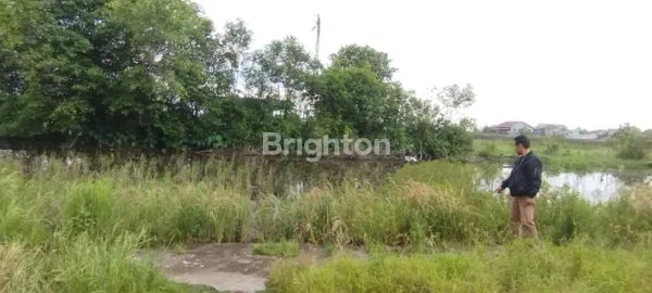 image LAHAN KOSONG MURAH COCOK UNTUK INVESTASI DI SEI RAYA, KUBU RAYA (3)