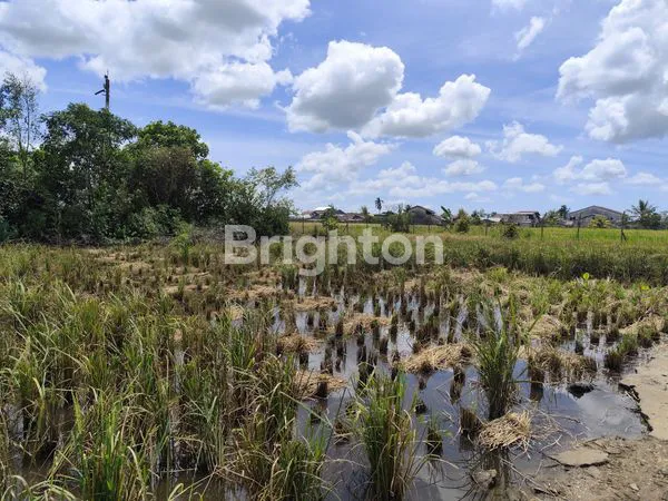 image LAHAN KOSONG MURAH COCOK UNTUK INVESTASI DI SEI RAYA, KUBU RAYA (2)