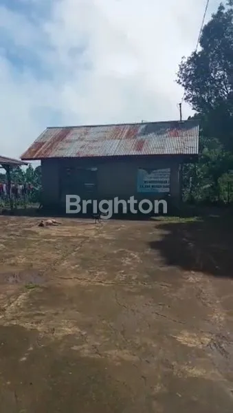 image TANAH KEBUN KOPI ARABIKA & CENGKEH DEKAT DESA MUNDUK, BULELENG (3)