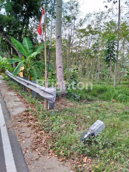 image DI JUAL CEPAT INVESTASI PROPERTI STRATEGIS! TANAH LUAS 1 HEKTAR DI KULON PROGO, COCOK UNTUK PENGINAPAN & WISATA KULINER (1)