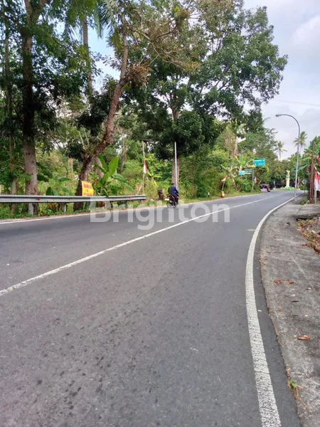 image DI JUAL CEPAT INVESTASI PROPERTI STRATEGIS! TANAH LUAS 1 HEKTAR DI KULON PROGO, COCOK UNTUK PENGINAPAN & WISATA KULINER (2)