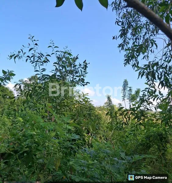 DIJUAL SEGERA TANAH LUAS DEKAT PANTAI BATU SIE NUSA PENIDA