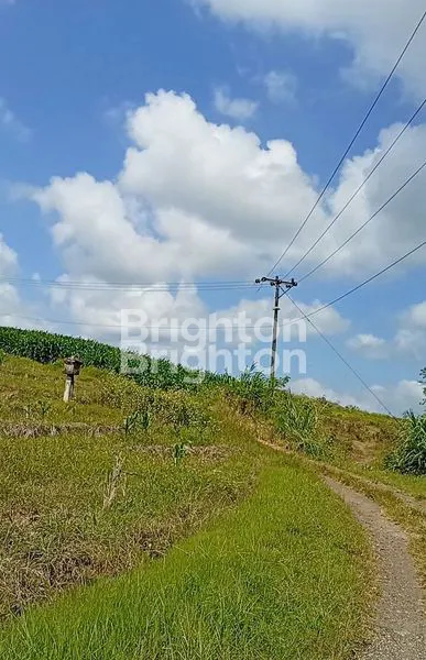 image A HIDDEN GEM IN ONE OF BALI\'S BEAUTIFUL AREAS. (2)