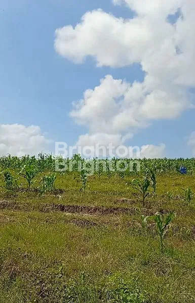 image A HIDDEN GEM IN ONE OF BALI\'S BEAUTIFUL AREAS. (3)