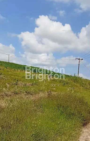 image A HIDDEN GEM IN ONE OF BALI\'S BEAUTIFUL AREAS. (4)