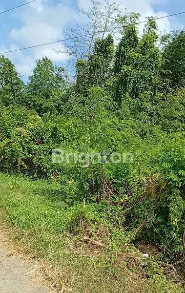 image A HIDDEN GEM IN ONE OF BALI\'S BEAUTIFUL AREAS. (5)