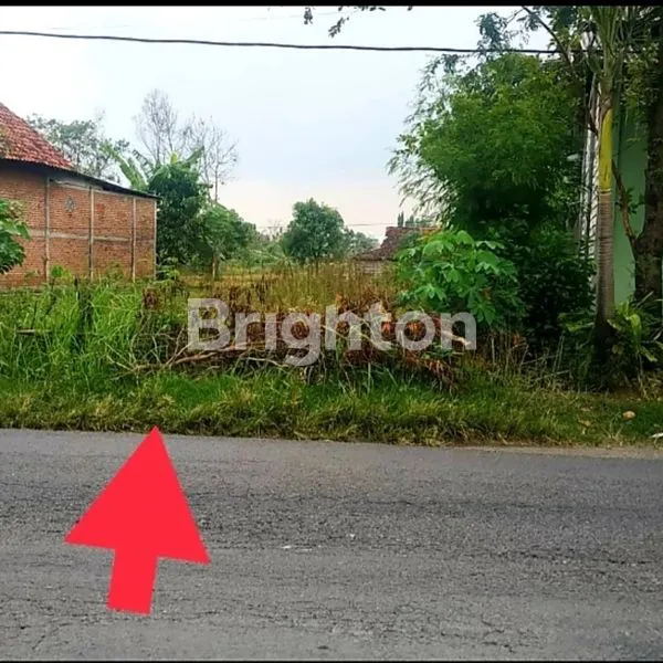 image TANAH SHM SIAP BANGUN DI LAMONGAN (2)