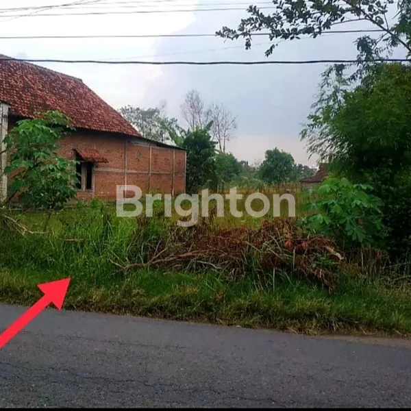 image TANAH SHM SIAP BANGUN DI LAMONGAN (3)