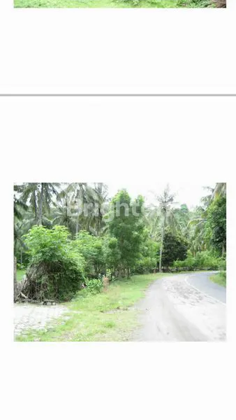 image TANAH SENGGIGI LOMBOK (4)