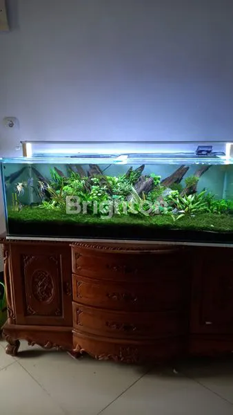 image DIBAWAH HARGA PASAR, RUMAH MEWAH FULL FURNISH 155M2 DEKAT STASIUN CILEBUT, HARGA BERSAHABAT (4)